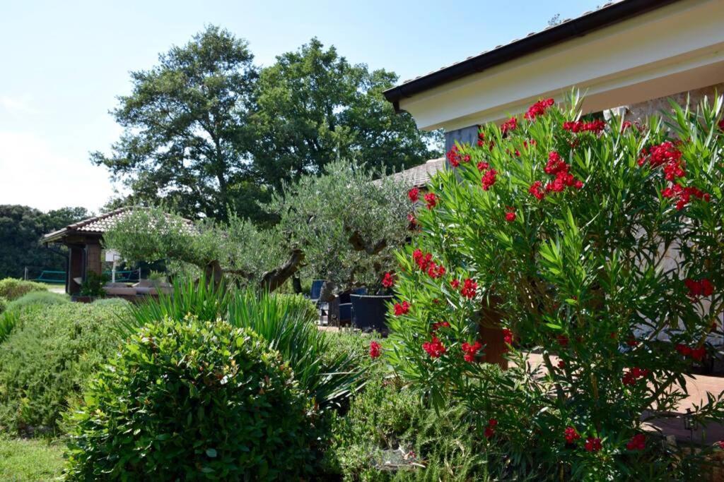 Villa Birds House Rovinj Dış mekan fotoğraf