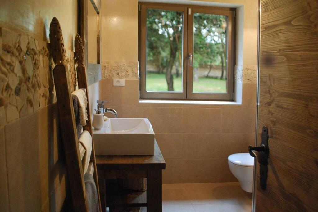 Villa Birds House Rovinj Dış mekan fotoğraf