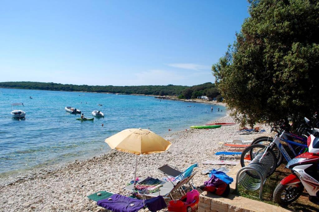 Villa Birds House Rovinj Dış mekan fotoğraf