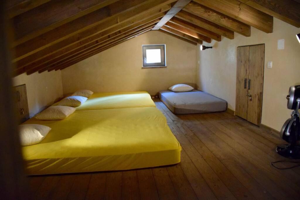 Villa Birds House Rovinj Dış mekan fotoğraf
