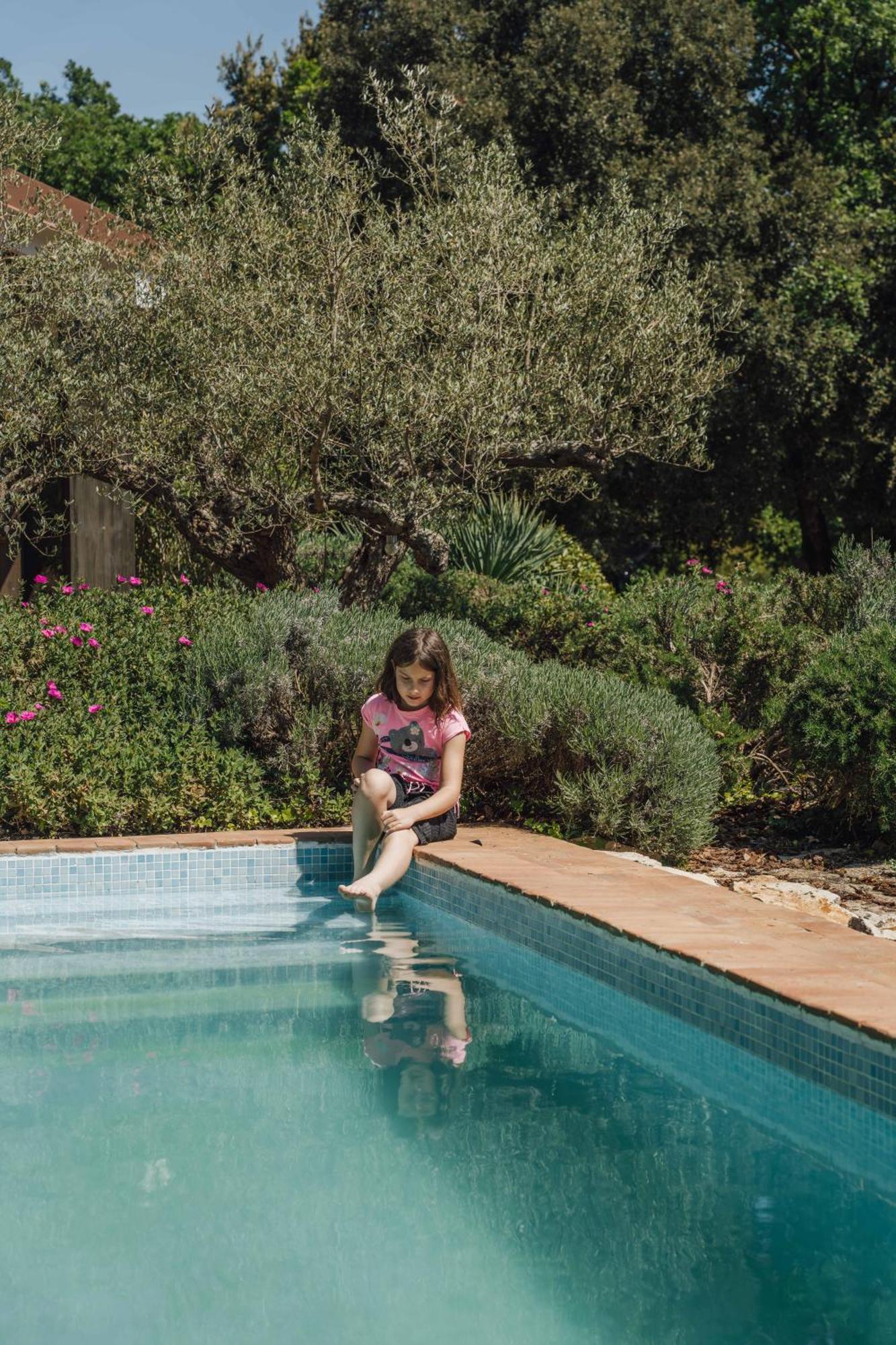Villa Birds House Rovinj Dış mekan fotoğraf